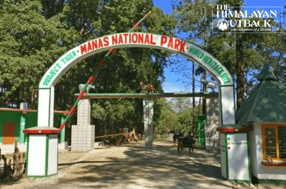 Manas National Park