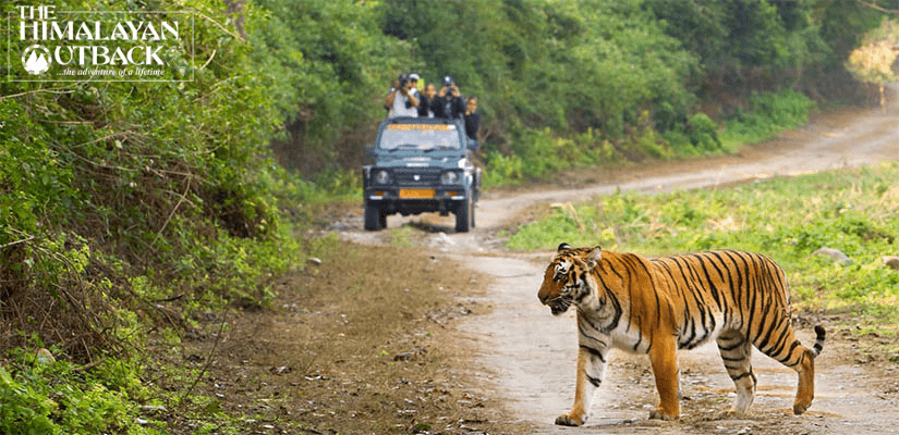 Jim Corbett National Park – A Comprehensive Guide