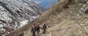 Himachal Trekking Guide