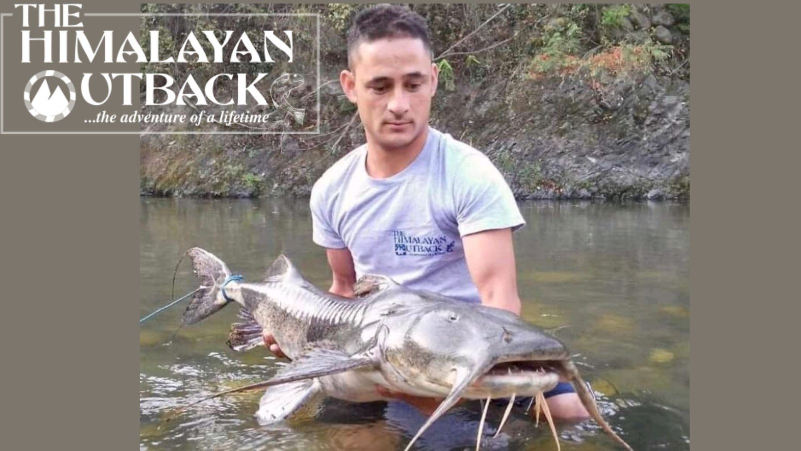 Catch and Release Fishing  Goonch Catfish- Himalayan OutBack