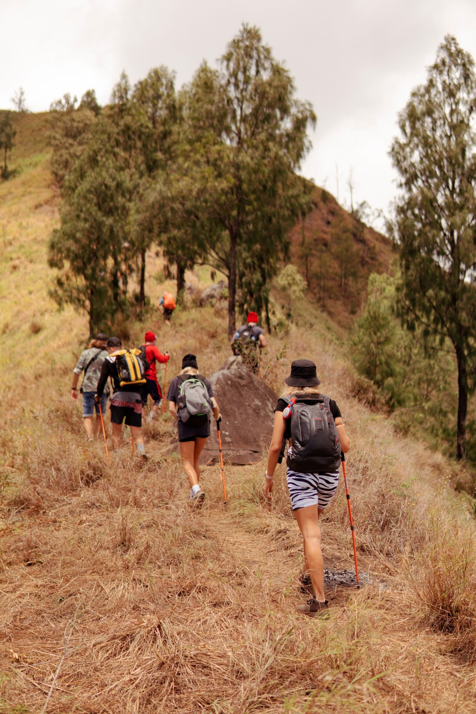 Trekking in the Himalayas