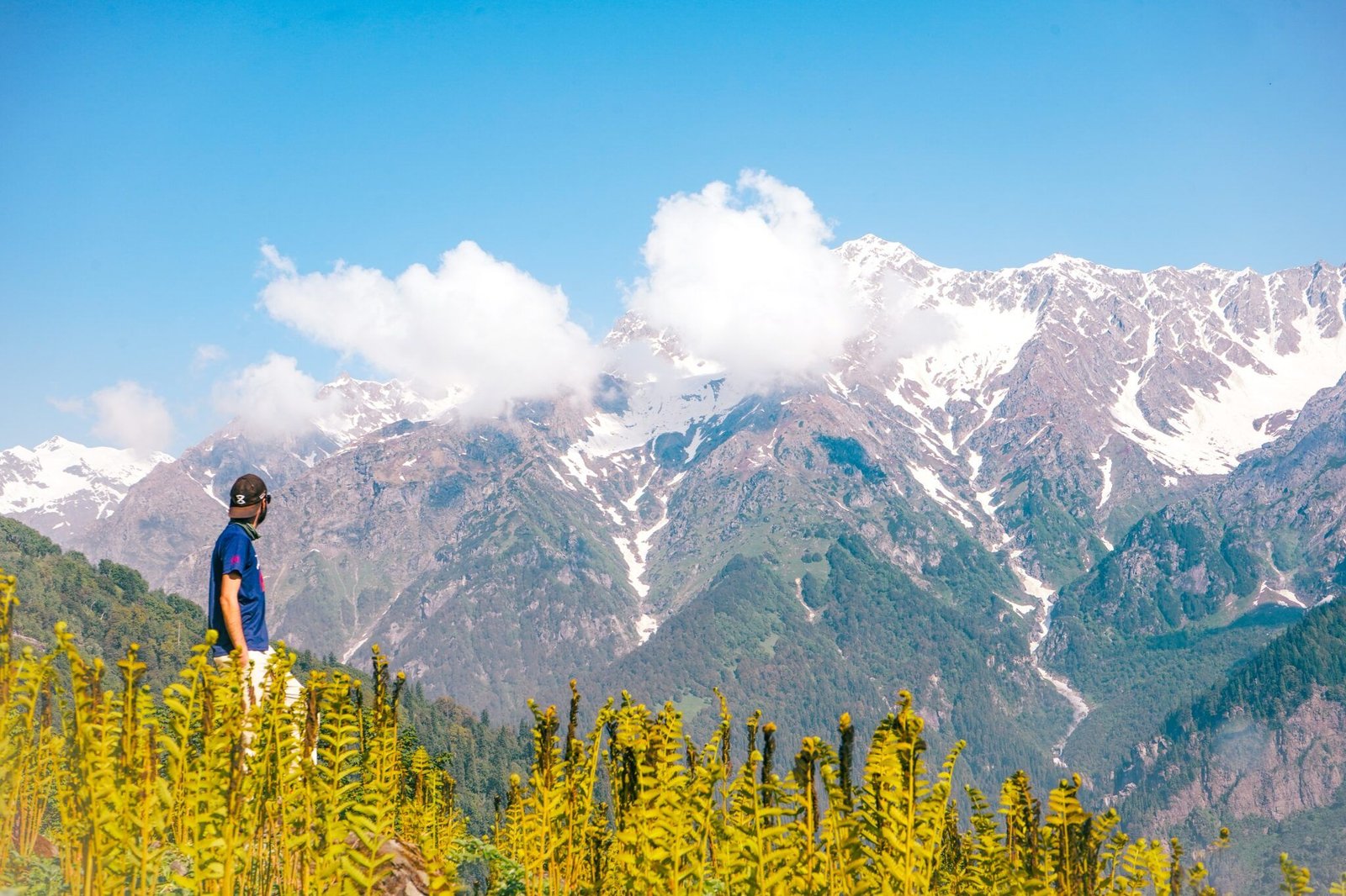 The Great Himalayan National Park - The Himalayan Outback