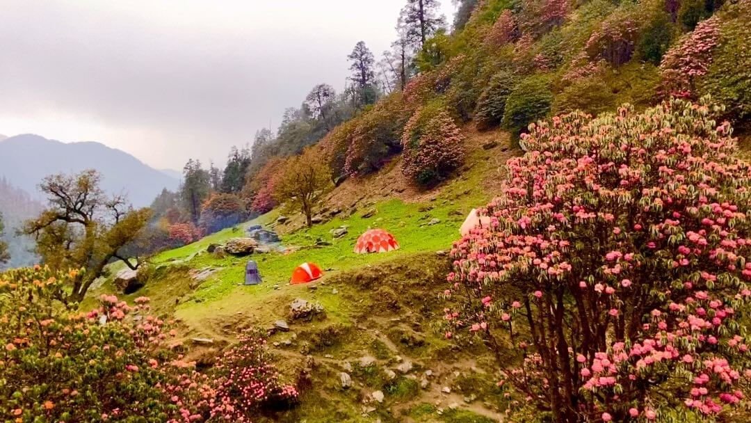 Trekking to Dayara Bugyal