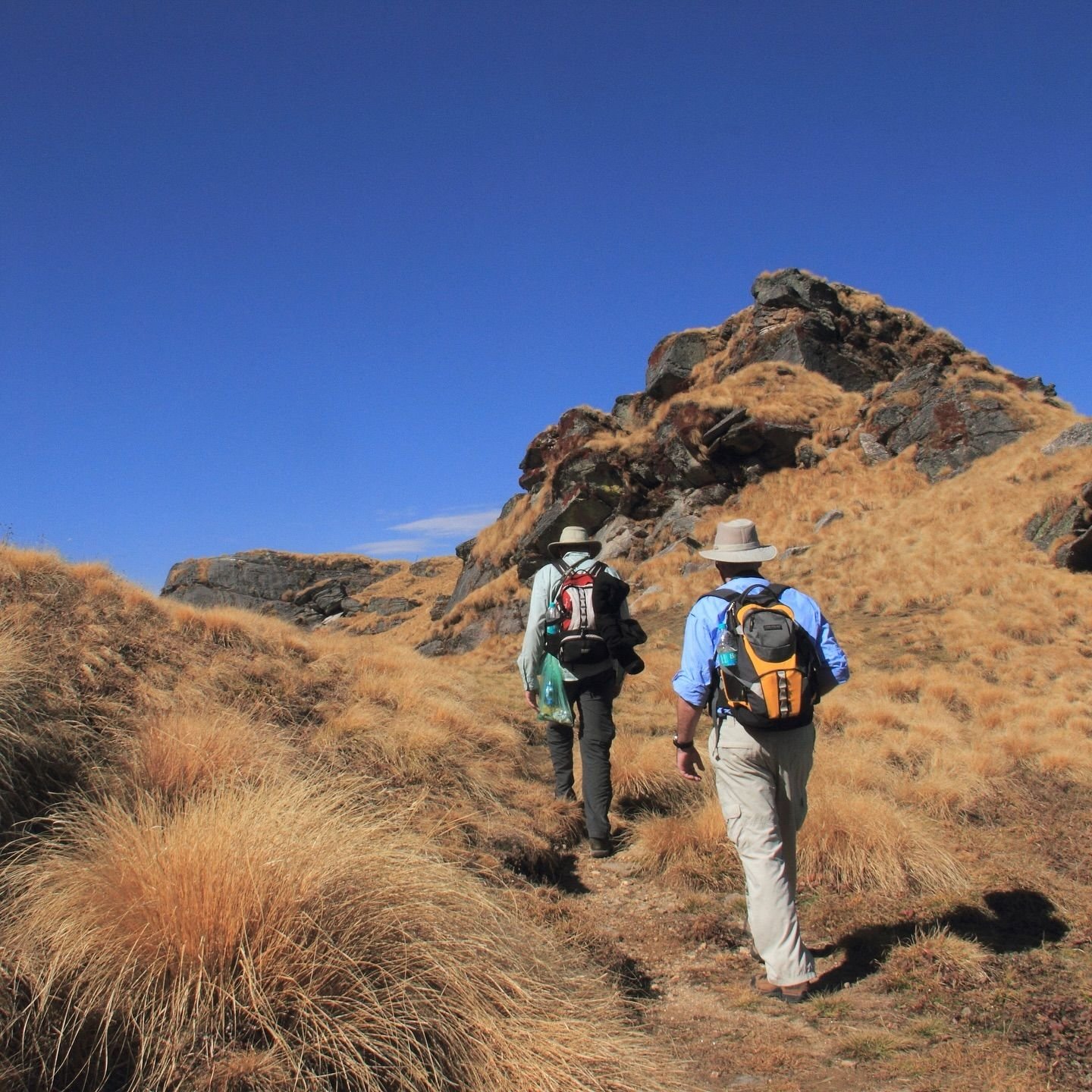 trekking in Himachal Pradesh