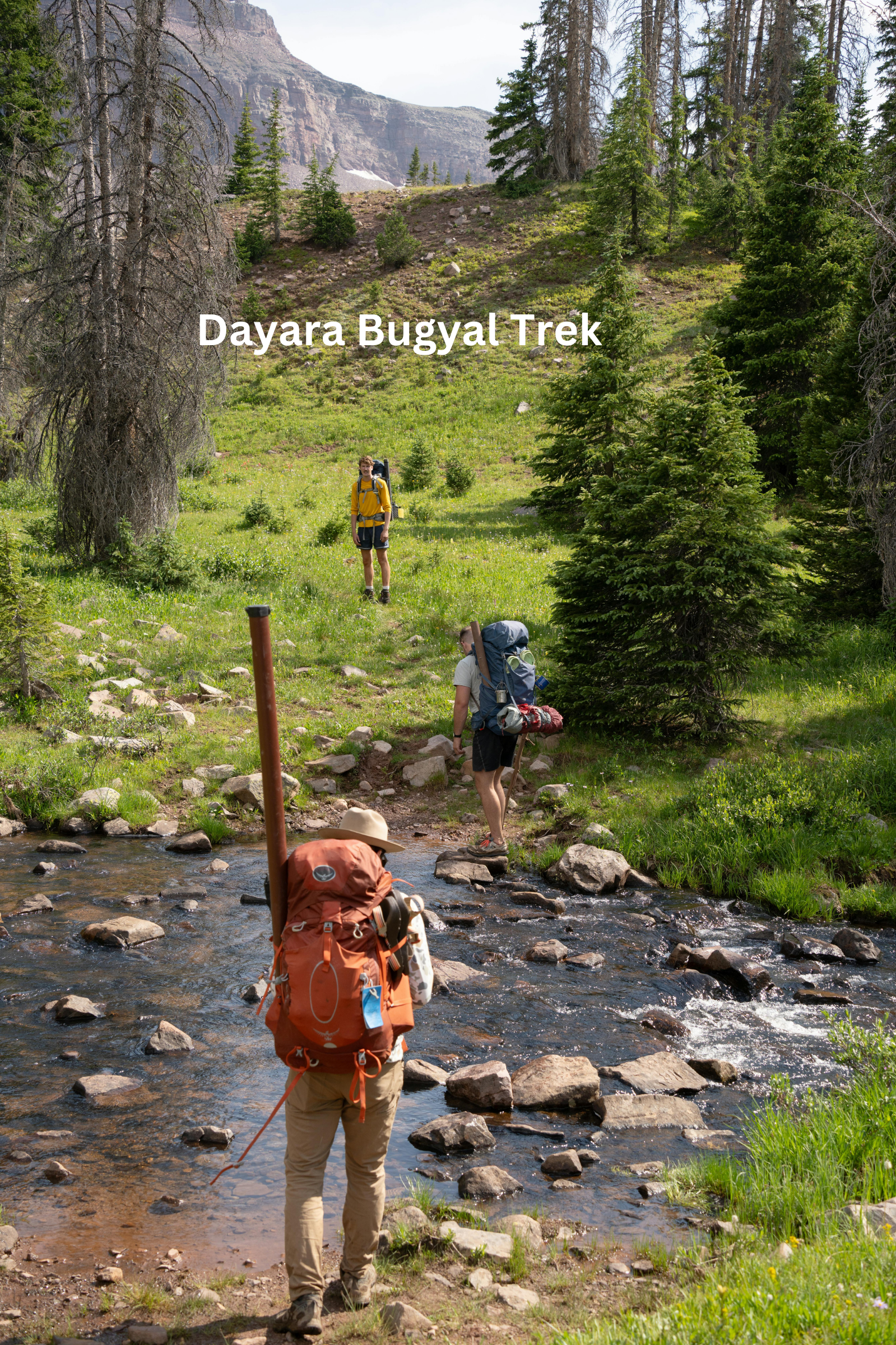 Dayara Bugyal Trek