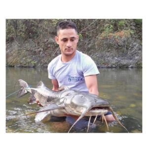 Goonch Catfish Angling