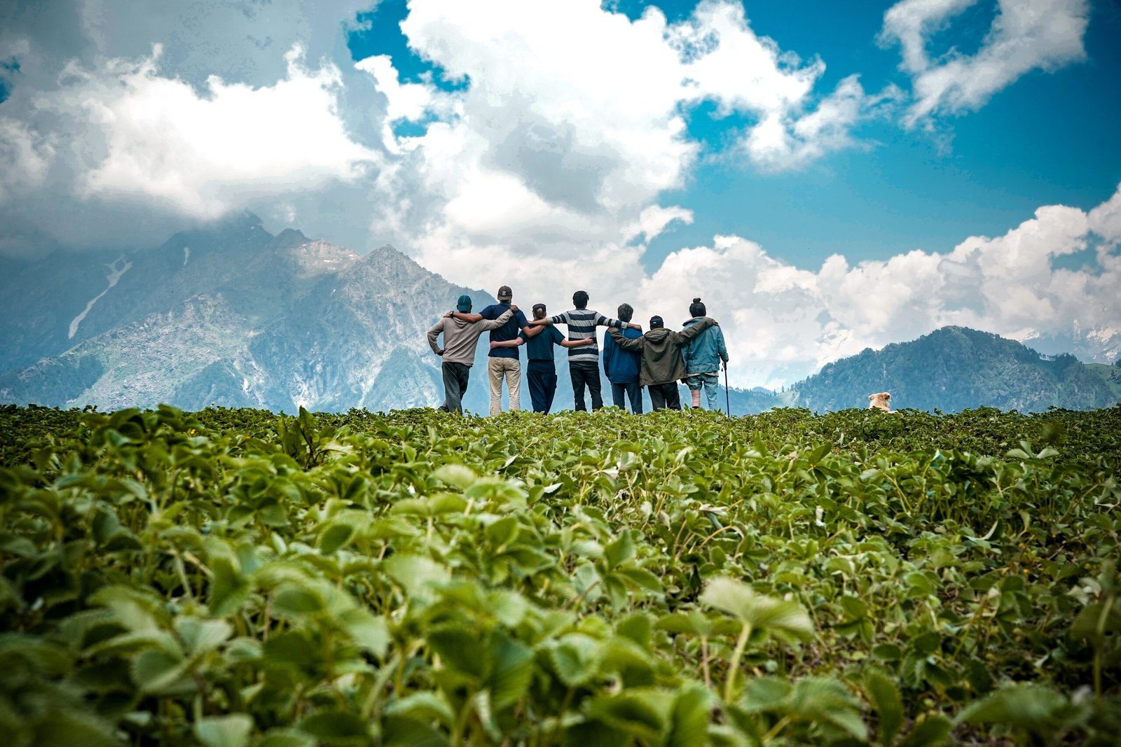 Treks in Uttarakhand for Every Season