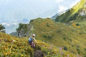 Valley of Flowers Trek