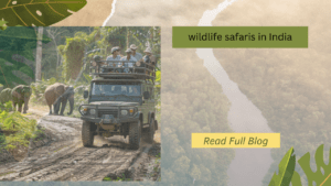 wildlife safaris in India