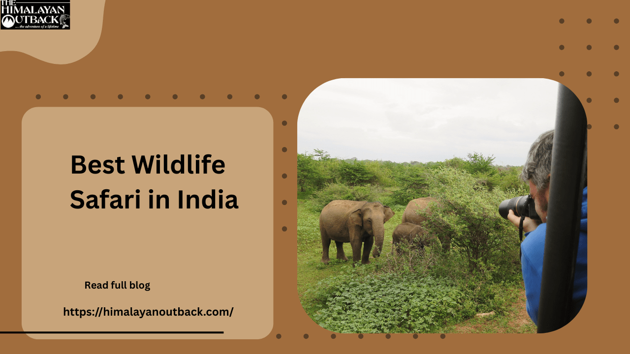 best Wildlife Safari in India