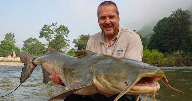 The Goonch Catfish