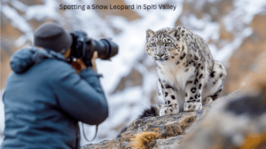 Spotting a Snow Leopard in Spiti Valley