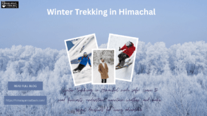 Winter trekking in Himachal