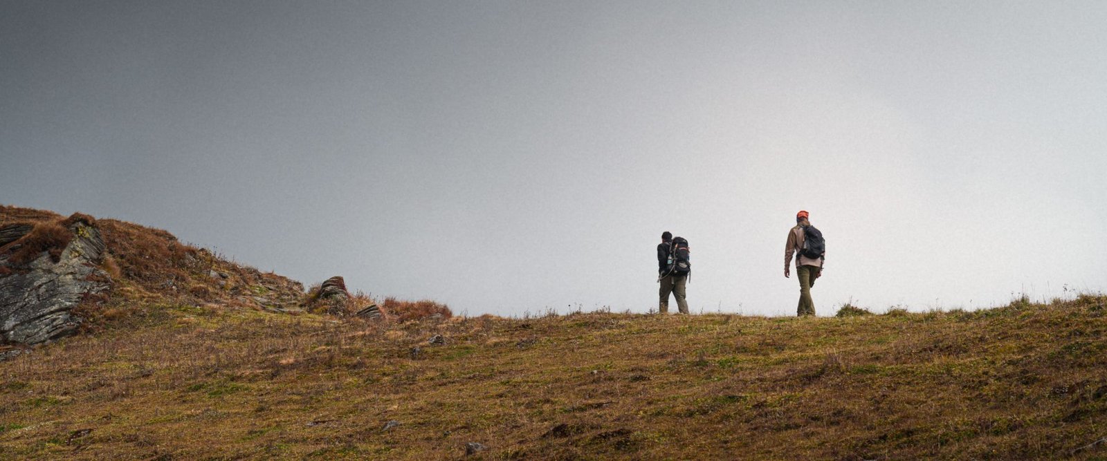 Himalayan-outback (2)