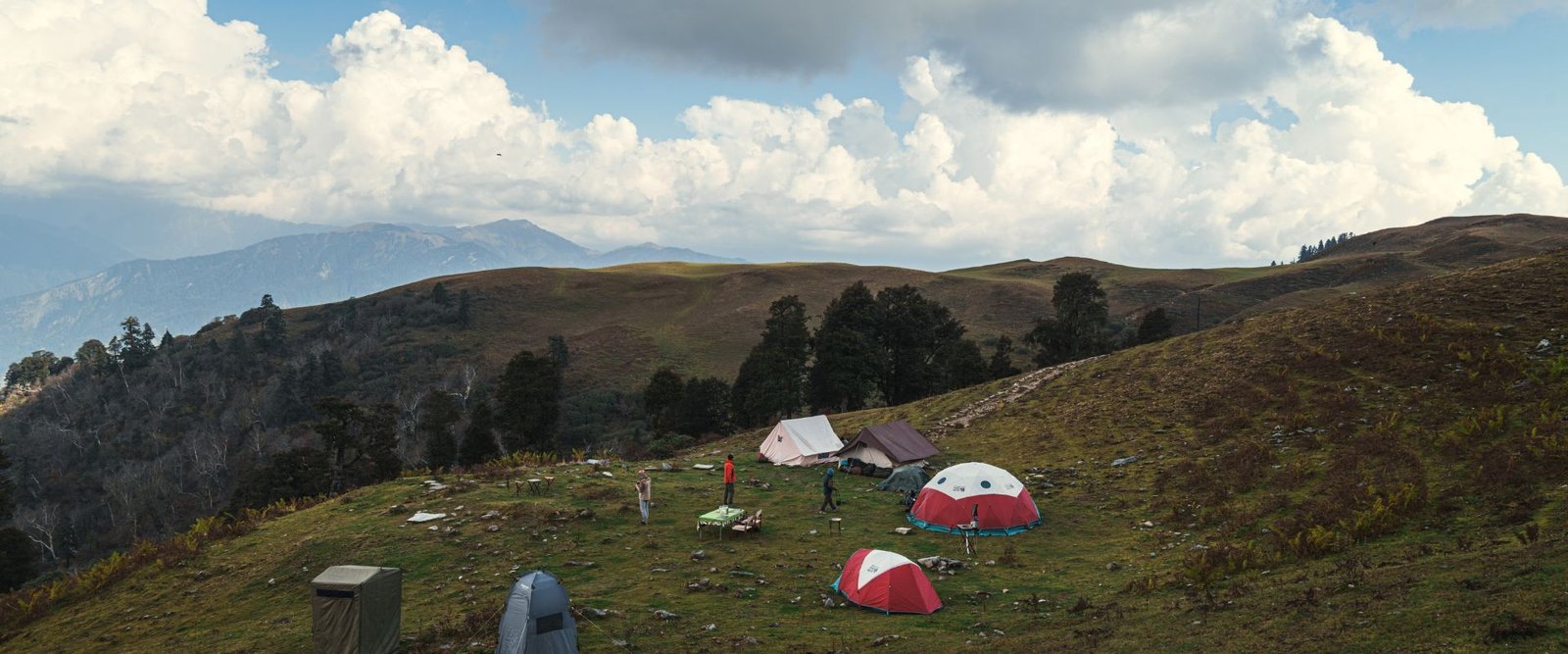 Himalayan-outback (3)