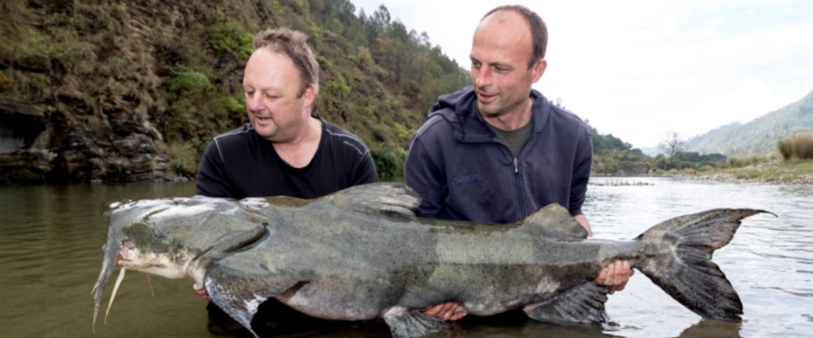 Himalayan-outback (4)