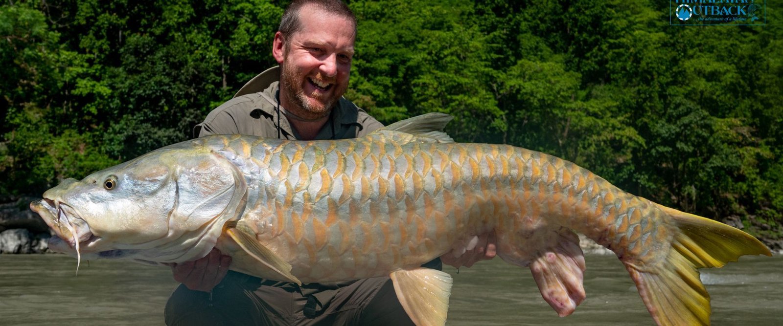 Himalayan-outback (8)