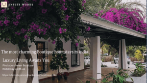 The most charming Boutique homestays Chandigarh india