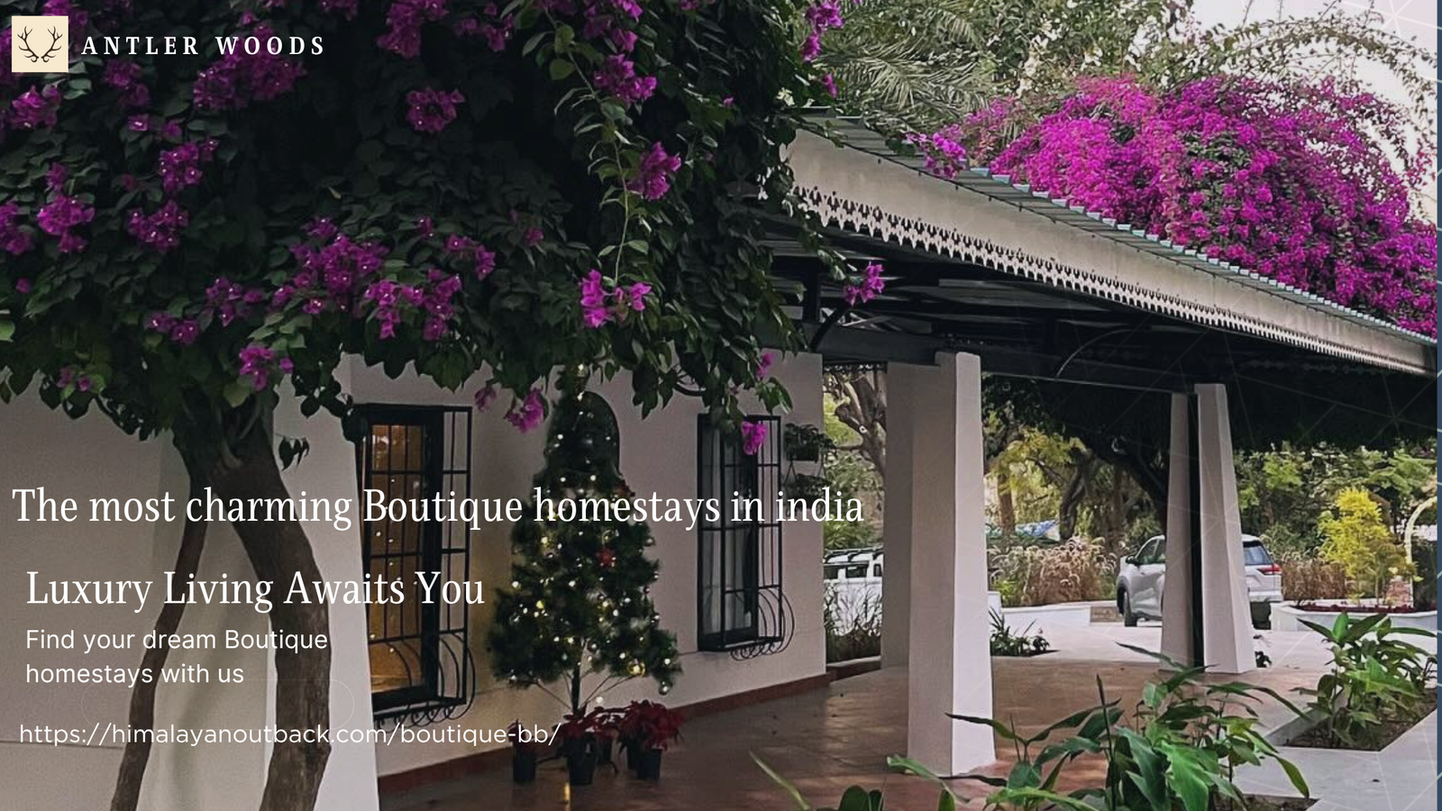 The most charming Boutique homestays Chandigarh india