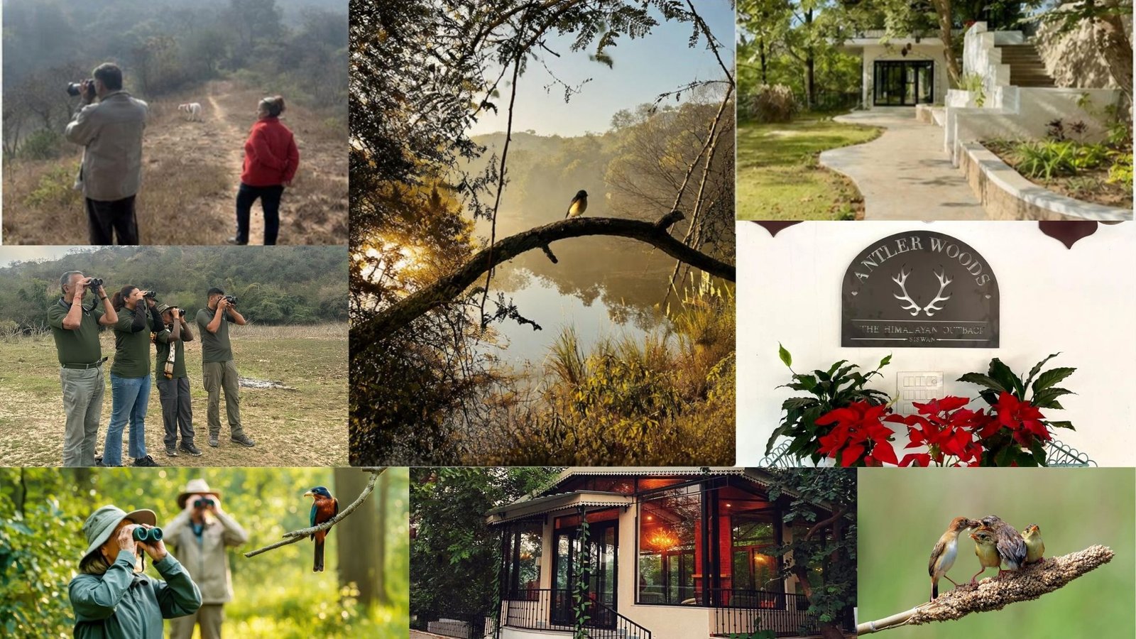 Best Places for Bird Watching in India